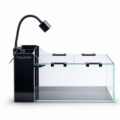 Aquatop AquaFin 5-Gallon Desktop Aquarium Kit — Curved Glass, Hidden Filtration, LED Light